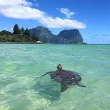 Lord Howe Island Nsw Australia Tourism Australia Vacation Airlie Beach