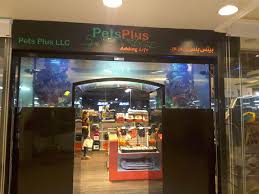 Categories log in join for free. Pets Plus Pet Food Accessories Stores In Jumeirah 1 Dubai