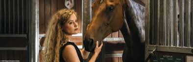 Hier erfahrt ihr ein wenig was hinter den kulissen vom reiterhof wildenstein passiert. Die Kritiker Reiterhof Wildenstein Die Pferdeflusterin Quotenmeter De Mobile