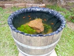 Tak heran jika banyak orang yang rela mengeluarkan uang yang tak sedikit untuk membuat taman hingga kolam. 21 Desain Kolam Ikan Mini Kecil 2021 Inspiratif