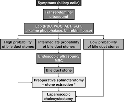 In the last 15 years, i have personally taken care of patients who were hospitalized for stones in the bile duct. Gallstone Disease From Genes To Evidence Based Therapy Journal Of Hepatology