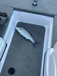 Our early spring trip!