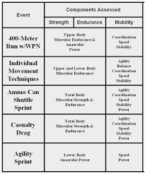 Expert Army Fitness Test Score Chart Airforce Pt Test