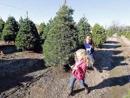 Maybe you would like to learn more about one of these? Christmas Tree Farms Stay Busy But Their Numbers Are Shrinking Business News Tulsaworld Com