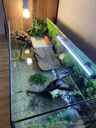Aquaterrarium Fur Wasserschildkroten In 2020 Wasserschildkroten Schildkrotenaquarium Wasserschildkroten Aquarium