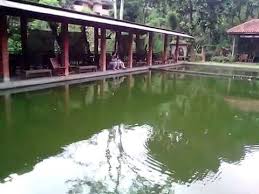Kolam Pemancingan Di Hotel Cipaku Garden Bandung Youtube