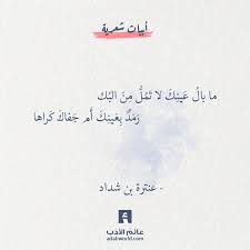 من اجمل ابيات الشعر الغزلية لـ عنترة بن شداد عالم الأدب words quotes wisdom quotes life quote aesthetic