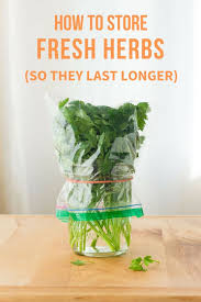 Fresh baby spinach is one of those things that's always on hand in my fridge. How To Store Fresh Herbs So They Last Longer Parsley Cilantro More