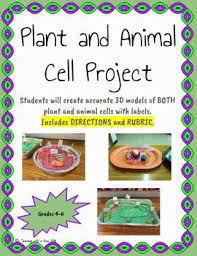See more ideas about animal cell project, animal cell, science cells. Plant Animal Cell Project Project Based Assessment Life Science Grades 5 7