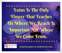 Explore lotus quotes by authors including sai baba, zhou qunfei, and martin yan at brainyquote. Lotus Is The Only Flower That Teaches Us Daily Thought Image With Meaning Best Daily Thoughts With Meanings