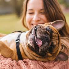 5 Ways Chiropractic Care Can Enhancing Your Pet's Wellness