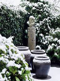 Garden In Winter Jardin D Hiver Jardins Hiver