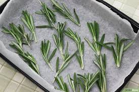 Comment Faire Secher Du Romarin Romarin Romarin Seche Secher Des Herbes