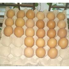 Info harga telur terbaru dapat anda cari di artikel yang sudah kami sediakan. Gosend Telur Ayam 5 Tray 150 Butir 10kg Khusus Area Kota Bekasi Terbaru Juli 2021 Harga Murah Kualitas Terjamin Blibli