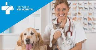 Please do not call with general enquiries as this is impacting on our response times for emergency cases. Ringwood Emergency Vet Centre 24 Hour After Hours Vet