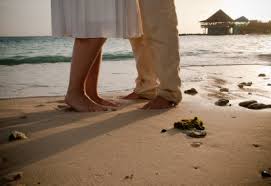 We did not find results for: Alles Was Sie Uber Eine Hochzeit Am Strand Wissen Sollten Avila Beach Hotel Curacao