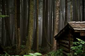 Image result for setting in story