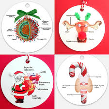Pin By Gulab Kaur On Nursing Humor Medical Ornament Christmas Teaching Christmas Gifts For Nurses