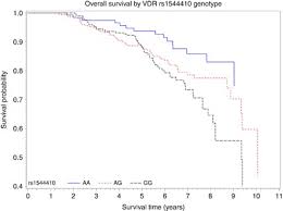 Lucrărilor de construcţii și instalaţii aferente acestora. Vitamin D Receptor And Calcium Sensing Receptor Polymorphisms And Colorectal Cancer Survival In The Newfoundland Population British Journal Of Cancer
