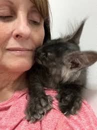 So our pampered princess winnie felt like she was missing out