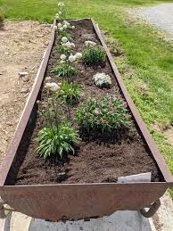 Maybe you would like to learn more about one of these? I Planted Dianthus Phlox And Armeria In This Old Water Trough Gardening