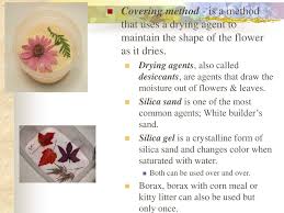 Welcome to silica gel products online store. Using Designing With Everlasting Flowers Ppt Download