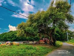Bisa dari video, kata kata, hingga kumpulan foto lucu. Sudah Tahu Ada Pantai Tersembunyi Dekat Jembatan Suramadu