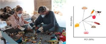 All of our paper waste is recycled within the uk and turned into corrugated cardboard. Rescuing Things Food Waste In The Rural Environment In The Czech Republic Sciencedirect