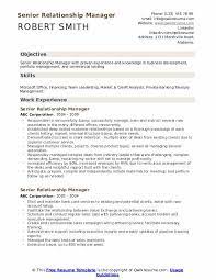 Bank relationship manager job description. Senior Relationship Manager Resume Samples Qwikresume