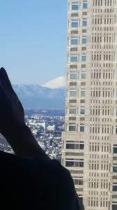 On A Clear Day You Can See Mount Fuji Part Of Picture Of Keio Plaza Hotel Tokyo Nishishinjuku Tripadvisor