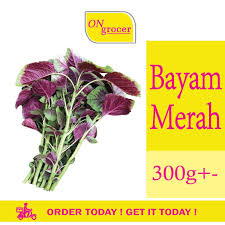 Padahal, selain menu tersebut bayam juga bisa diolah menjadi masakan lainnya yang tak. A0453 Bayam Merah 300g