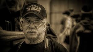 Vietnam Vet 14