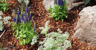 We did not find results for: How To Mulch Your Garden And Why Love The Garden