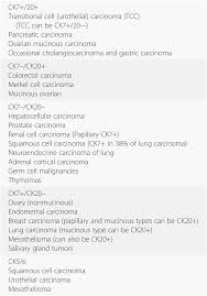 Check spelling or type a new query. Differential Diagnosis Of Metastatic Tumors Chapter 6 Silverberg S Principles And Practice Of Surgical Pathology And Cytopathology