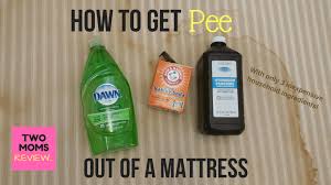 How To Get Pee Out Of A Mattress In 5 Easy Steps Cleaning Cleaning Hacks Pee Stains