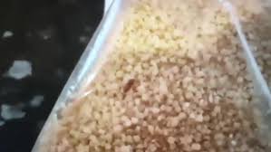 Whether you call it pearl couscous or israeli couscous, there's everything to love about these little balls of pasta. Morrisons Shopper Discovers Live Insect Wriggling Around Unopened 1 15 Couscous Mirror Online