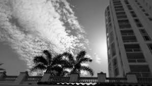 After a tenant moves out, landlords in a florida tenant has the right to quiet enjoyment in their home. Florida Rentals What Is The Landlord S Responsibility The Legal Scoop On Southwest Florida Real Estate