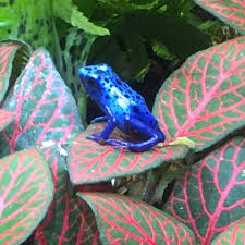 Find what your pet needs search for medications, food, & more. Pets Plus Natural Home Facebook