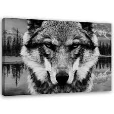See more of caroline wolf home decor on facebook. Canvas Painting Prints Wall Art Picture Home Decor No Frame Young Wolf Buy At A Low Prices On Joom E Commerce Platform