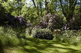 We did not find results for: 10 Shade Garden Ideas To Steal From An English Woodland Gardenista