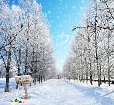 1920x1200 free winter snow scenes wallpaper 1920ã—1200 winter snow scenes wallpapers (50 wallpapers) | adorable wallpapâ€¦ | winter landscape, winter background, winter scenes Fashion Backdrop Christmas Theme Snow Scene Photography Background Vinyl Attractive Backdrop Sale