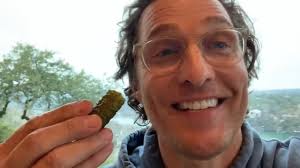 pickles one oh one #nationalpickleday