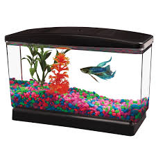 It is a cool place to house your aquatic friends. Aqua Culture Betta View 1 2 Gallon Fish Tank With Full Hood Walmart Com Walmart Com