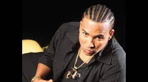 Nació el 10 de febrero. 2015 Don Omar Hairstyles Youtube