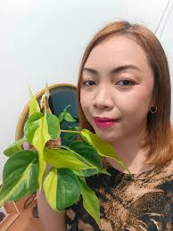 Local propagation trade for philodendron cuttings?