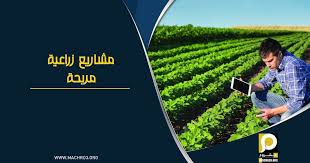 افضل المشاريع الزراعية ربحا 27 مشروعات زراعية وحيوانية مشروع