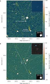 Image result for Blue Cosmo 2008 145