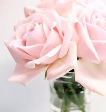 Place both in a pot and bring to a boil, then simmer on a low flame for 10 minutes or until rose petals lose their colour. Rose Water For Hair 6 Ways You Can Use It To Your Benefit