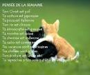 Beau texte animaux