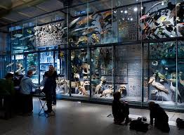 Museum Fur Naturkunde Evolution In Action Museum Exhibition Nature Museum Exhibition Design